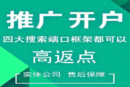 SEM托管公司案例分析：优化预算分配